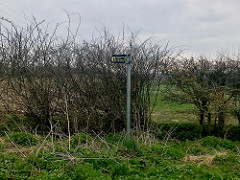 Barnetby hedge 
