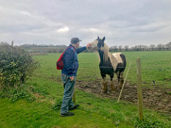 viking way part 2 barnetby horse small